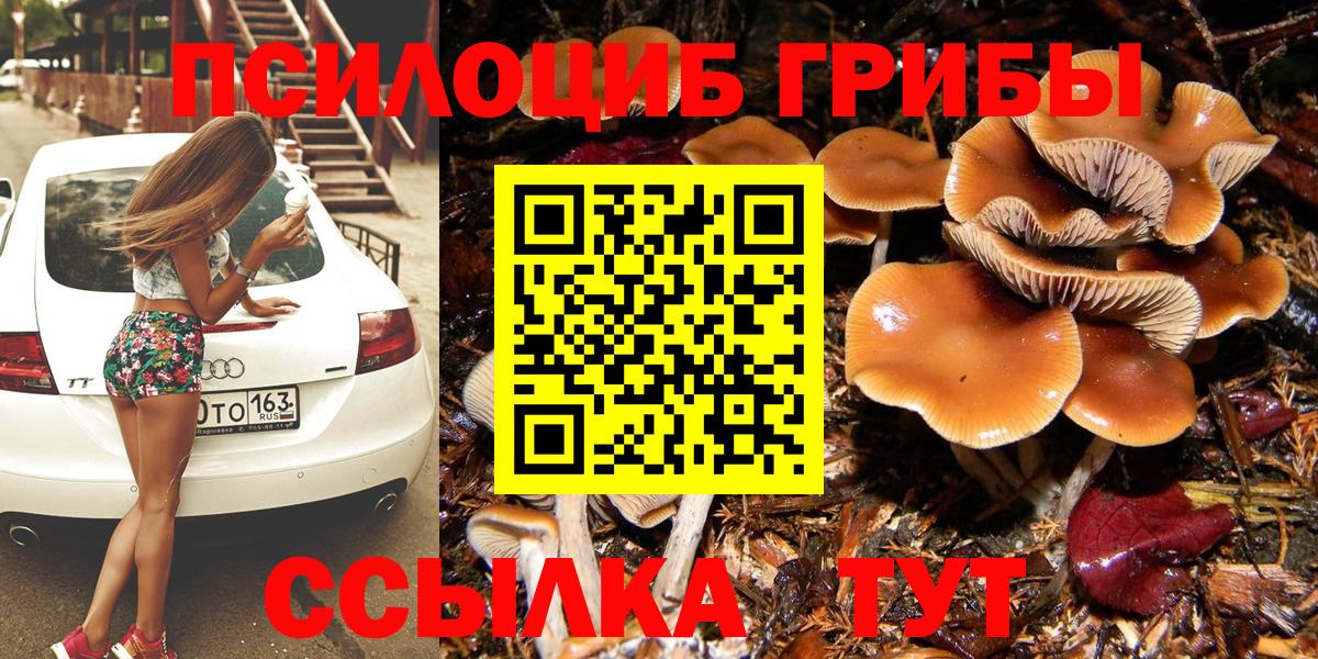 Галлюциногенные грибы прущие грибы Шахты